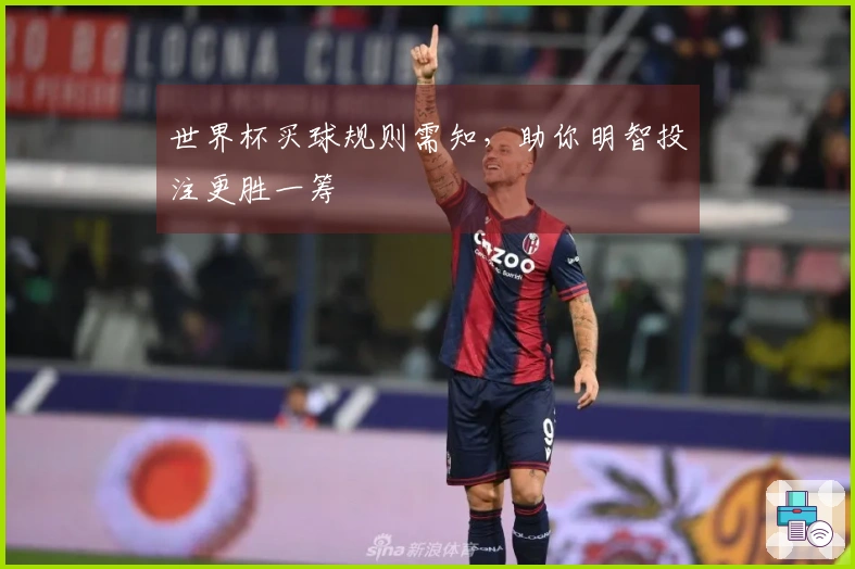 世界杯买球规则需知，助你明智投注更胜一筹
