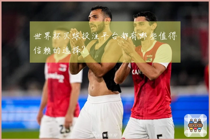 世界杯买球投注平台都有哪些值得信赖的选择？