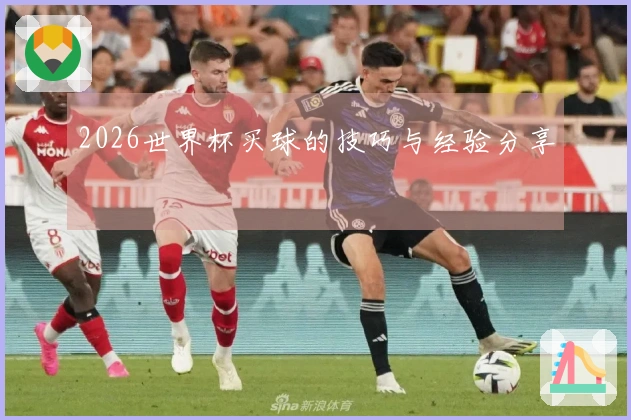 2026世界杯买球的技巧与经验分享