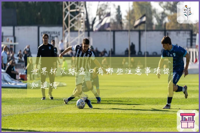 世界杯买球盘口有哪些注意事项你知道吗