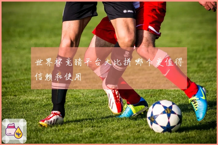 世界杯竞猜平台大比拼 哪个更值得信赖和使用