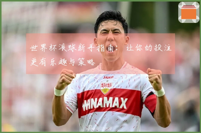 世界杯滚球新手指南：让你的投注更有乐趣与策略